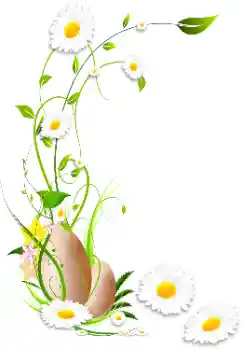 Efekt zdjęciowy z kategorii Ramki dla kobiet № 114336