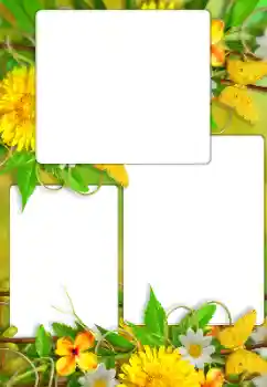 Efekt zdjęciowy z kategorii Ramki dla kobiet № 114738