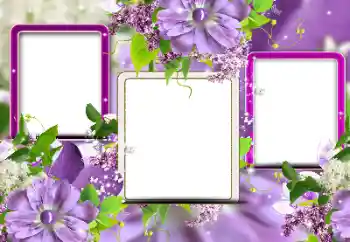 Efekt zdjęciowy z kategorii Ramki dla kobiet № 116124