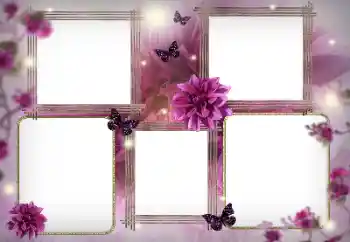 Efekt zdjęciowy z kategorii Ramki dla kobiet № 116128
