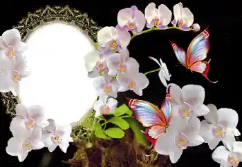 Efekt zdjęciowy z kategorii Ramki dla kobiet № 117349