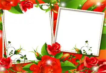 Efekt zdjęciowy z kategorii Ramki dla kobiet № 117365