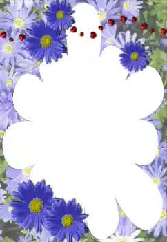 Efekt zdjęciowy z kategorii Ramki dla kobiet № 117528