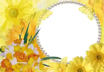 Efekt zdjęciowy z kategorii Ramki dla kobiet № 11827