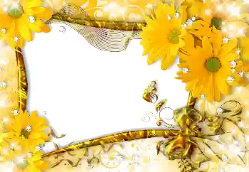 Efekt zdjęciowy z kategorii Ramki dla kobiet № 118916