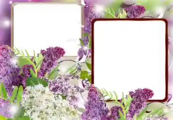 Efekt zdjęciowy z kategorii Ramki dla kobiet № 121086