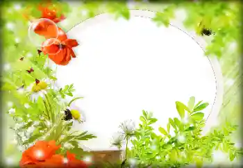 Efekt zdjęciowy z kategorii Ramki dla kobiet № 121087