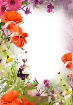 Efekt zdjęciowy z kategorii Ramki dla kobiet № 121098