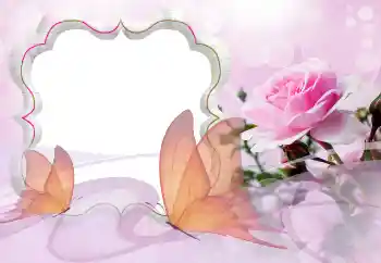 Efekt zdjęciowy z kategorii Ramki dla kobiet № 121129