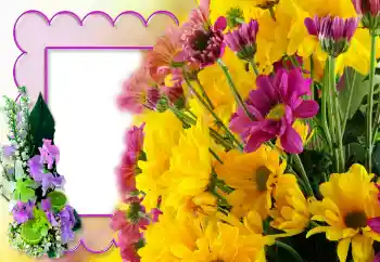 Efekt zdjęciowy z kategorii Ramki dla kobiet № 121140