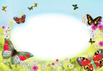 Efekt zdjęciowy z kategorii Ramki dla kobiet № 123207