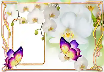 Efekt zdjęciowy z kategorii Ramki dla kobiet № 123218