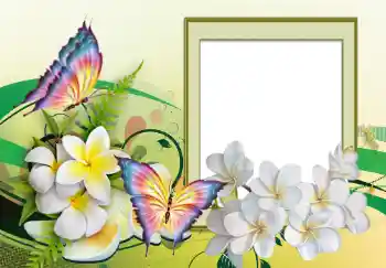 Efekt zdjęciowy z kategorii Ramki dla kobiet № 123226