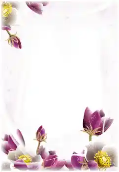 Efekt zdjęciowy z kategorii Ramki dla kobiet № 124368