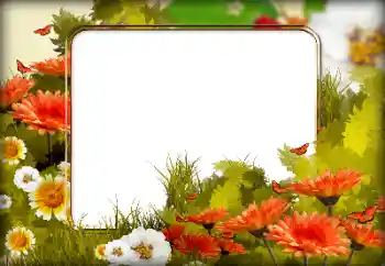 Efekt zdjęciowy z kategorii Ramki dla kobiet № 125650