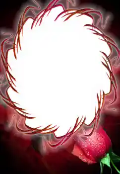 Efekt zdjęciowy z kategorii Ramki dla kobiet № 125687