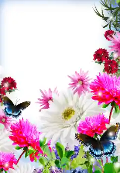 Efekt zdjęciowy z kategorii Ramki dla kobiet № 125845