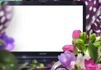 Efekt zdjęciowy z kategorii Ramki dla kobiet № 125847