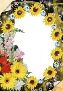 Efekt zdjęciowy z kategorii Ramki dla kobiet № 125921