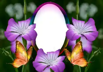 Efekt zdjęciowy z kategorii Ramki dla kobiet № 126946