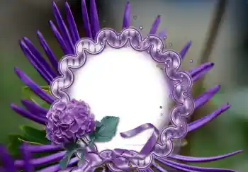 Efekt zdjęciowy z kategorii Ramki dla kobiet № 126947