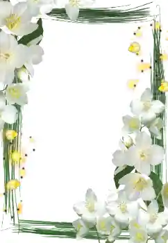 Efekt zdjęciowy z kategorii Ramki dla kobiet № 127290 Efekt zdjęciowy z kategorii Ramki dla kobiet № 127290