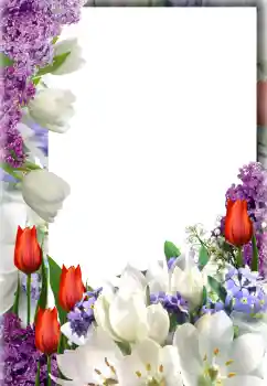 Efekt zdjęciowy z kategorii Ramki dla kobiet № 127300 Efekt zdjęciowy z kategorii Ramki dla kobiet № 127300