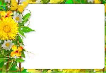 Efekt zdjęciowy z kategorii Ramki dla kobiet № 127303 Efekt zdjęciowy z kategorii Ramki dla kobiet № 127303