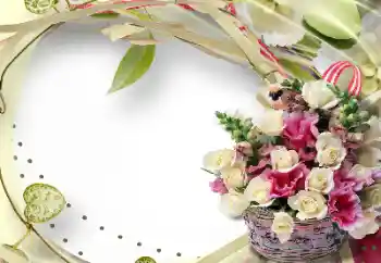 Efekt zdjęciowy z kategorii Ramki dla kobiet № 127306 Efekt zdjęciowy z kategorii Ramki dla kobiet № 127306