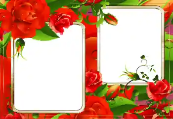 Efekt zdjęciowy z kategorii Ramki dla kobiet № 128335 Efekt zdjęciowy z kategorii Ramki dla kobiet № 128335