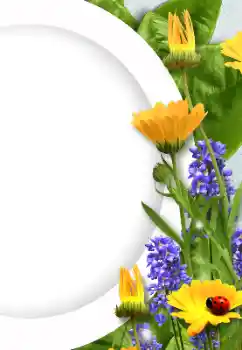 Efekt zdjęciowy z kategorii Ramki dla kobiet № 128372 Efekt zdjęciowy z kategorii Ramki dla kobiet № 128372