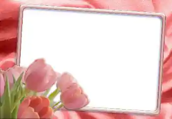 Efekt zdjęciowy z kategorii Ramki dla kobiet № 12865