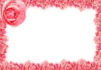 Efekt zdjęciowy z kategorii Ramki dla kobiet № 12873