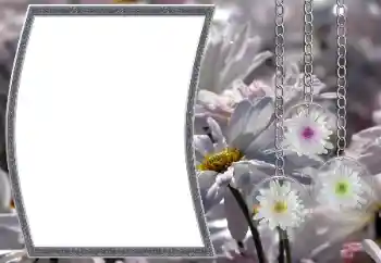 Efekt zdjęciowy z kategorii Ramki dla kobiet № 12890