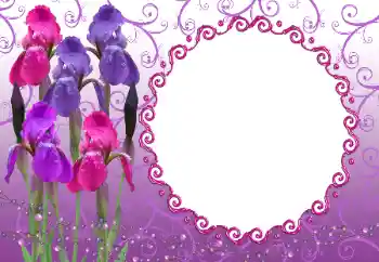 Efekt zdjęciowy z kategorii Ramki dla kobiet № 12894