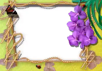 Efekt zdjęciowy z kategorii Ramki dla kobiet № 12895