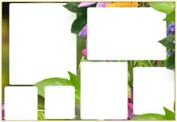 Efekt zdjęciowy z kategorii Ramki dla kobiet № 129852 Efekt zdjęciowy z kategorii Ramki dla kobiet № 129852