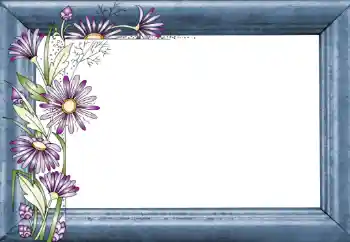 Efekt zdjęciowy z kategorii Ramki dla kobiet № 130781