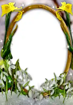 Efekt zdjęciowy z kategorii Ramki dla kobiet № 131002 Efekt zdjęciowy z kategorii Ramki dla kobiet № 131002