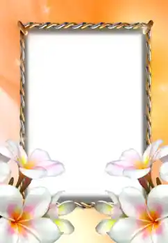 Efekt zdjęciowy z kategorii Ramki dla kobiet № 131367 Efekt zdjęciowy z kategorii Ramki dla kobiet № 131367