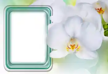 Efekt zdjęciowy z kategorii Ramki dla kobiet № 131485 Efekt zdjęciowy z kategorii Ramki dla kobiet № 131485