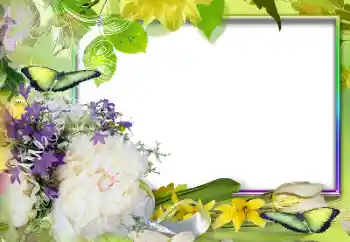 Efekt zdjęciowy z kategorii Ramki dla kobiet № 131607 Efekt zdjęciowy z kategorii Ramki dla kobiet № 131607