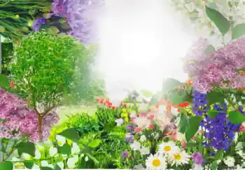 Efekt zdjęciowy z kategorii Ramki dla kobiet № 13913