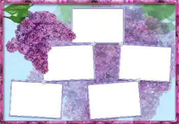 Efekt zdjęciowy z kategorii Ramki dla kobiet № 13954