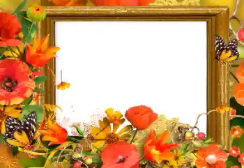 Efekt zdjęciowy z kategorii Ramki dla kobiet № 139911