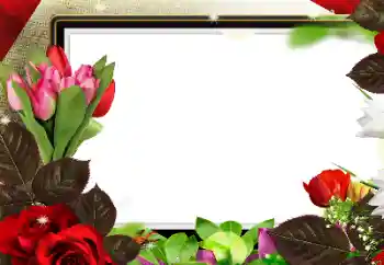 Efekt zdjęciowy z kategorii Ramki dla kobiet № 139912