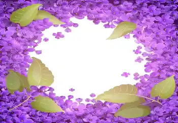 Efekt zdjęciowy z kategorii Ramki dla kobiet № 141055