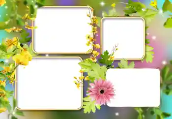 Efekt zdjęciowy z kategorii Ramki dla kobiet № 141134