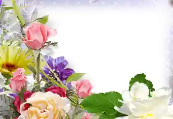 Efekt zdjęciowy z kategorii Ramki dla kobiet № 142430