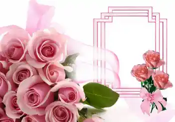 Efekt zdjęciowy z kategorii Ramki dla kobiet № 143506